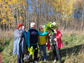 "День пожилых людей". Выход на природу